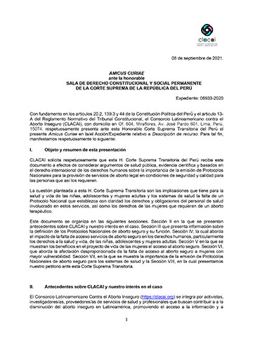 Caso Nº 08933-2020 sobre protocolo de aborto terapéutico